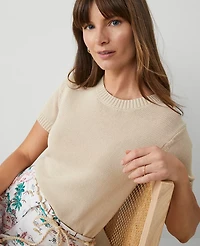 Ann Taylor Modern Sweater T-Shirt Women's