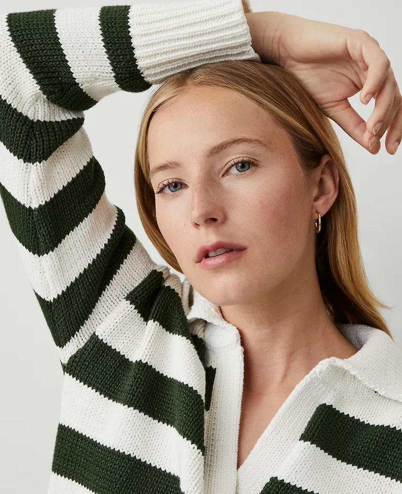 Ann Taylor Weekend Collection Stripe Collared Sweater Size XL Green/White Stripe Women's