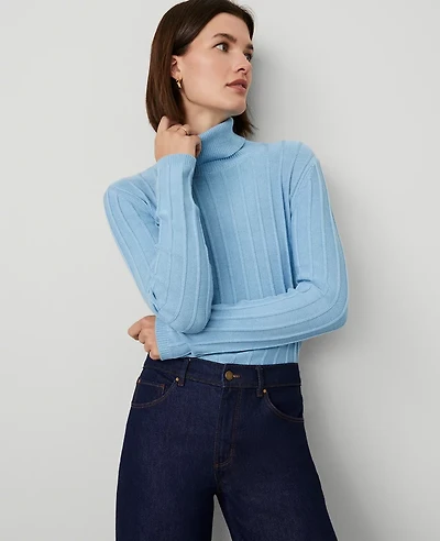 Ann Taylor Ribbed Turtleneck Sweater Size XL Santa Cruz Blue Women's