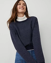 Ann Taylor Weekend Collection Jacquard Wedge Sweater Size XS Navy/White Women's