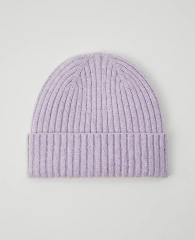 Ann Taylor Ribbed Beanie Purple Lilac Women's