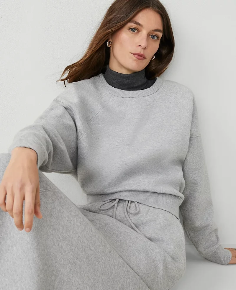 Ann Taylor Weekend Collection Raglan Sweatshirt Size Medium Grey Cloud Heather Women's