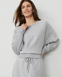 Ann Taylor Weekend Collection Raglan Sweatshirt Size Medium Grey Cloud Heather Women's