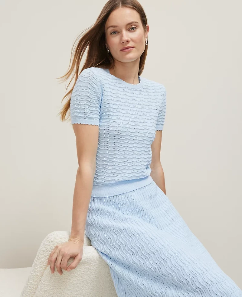 Ann Taylor Wavy Stitch Scalloped Sweater T-Shirt Size Small Zephyr Blue Women's
