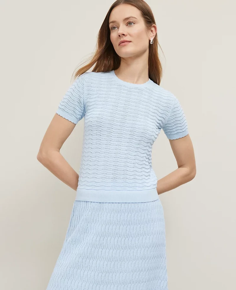 Ann Taylor Wavy Stitch Scalloped Sweater T-Shirt Size Small Zephyr Blue Women's