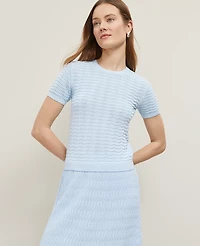 Ann Taylor Wavy Stitch Scalloped Sweater T-Shirt Size Small Zephyr Blue Women's