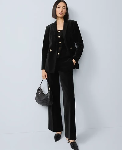 Ann Taylor The Jayne Trouser Velvet Black Women's