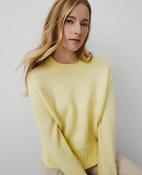 Ann Taylor Weekend Collection Cozy Crew Neck Sweater Pale Forsythia Women's