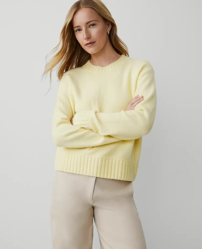 Ann Taylor Weekend Collection Cozy Crew Neck Sweater Pale Forsythia Women's