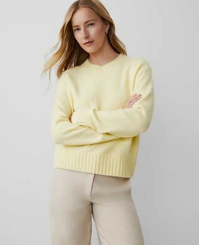 Ann Taylor Weekend Collection Cozy Crew Neck Sweater Size XL Pale Forsythia Women's