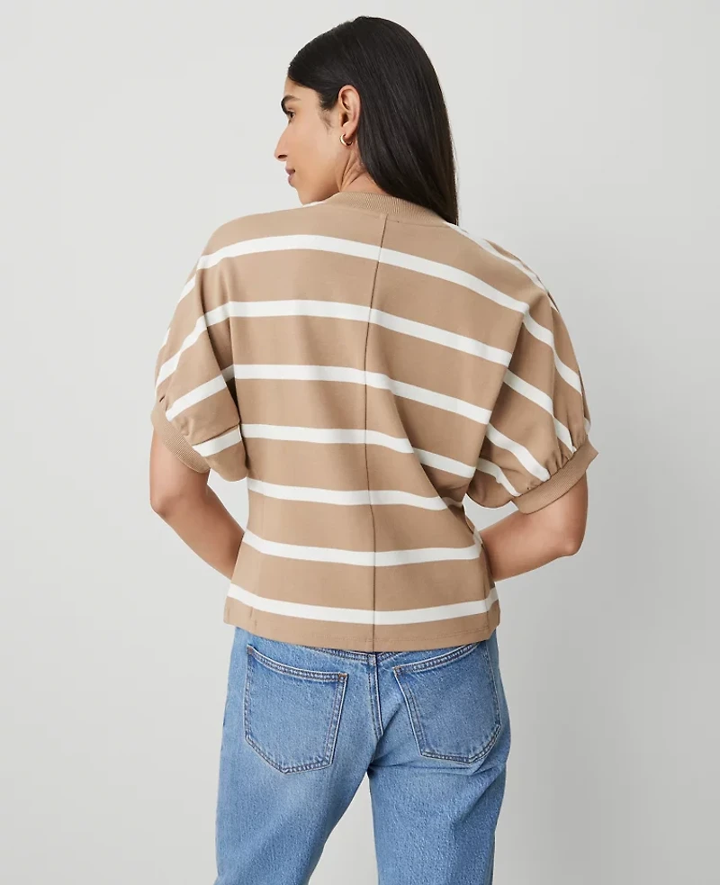 Ann Taylor Striped Ponte Dolman Top Women's