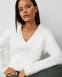 Ann Taylor Geo Stitch V-Neck Sweater Women's