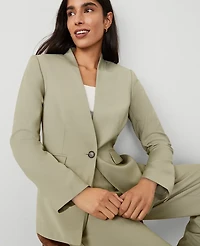 Ann Taylor The Collarless Blazer Size 14 Seagrass Women's