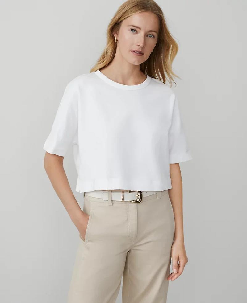 Ann Taylor Weekend Collection Dolman T-Shirt XL Women's