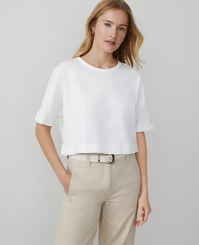 Ann Taylor Weekend Collection Dolman T-Shirt XL Women's