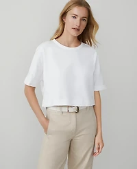Ann Taylor Weekend Collection Dolman T-Shirt XL Women's