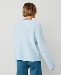 Ann Taylor Petite Weekend Collection Relaxed V-Neck Sweater Size Large Nordic Sky Blue Women's