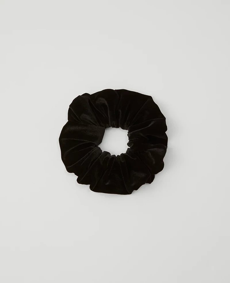 Ann Taylor Velvet Oversized Scrunchie Black Women's