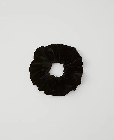 Ann Taylor Velvet Oversized Scrunchie Black Women's