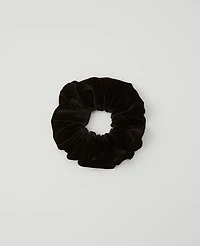 Ann Taylor Velvet Oversized Scrunchie Black Women's