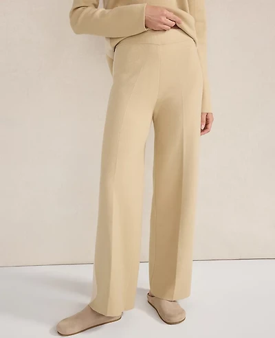 Ann Taylor Haven Well Within Tuxedo Stripe Pants Frosty Cream Women's