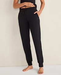Ann Taylor Haven Well Within Balance Drawstring Joggers Women's