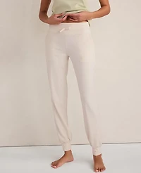 Ann Taylor Haven Well Within Balance Drawstring Joggers Women's