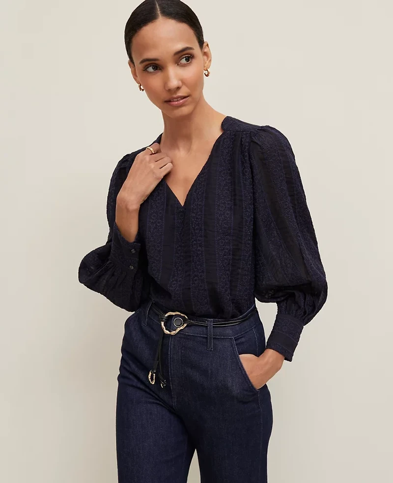 Ann Taylor Embroidered V-Neck Popover Top Women's