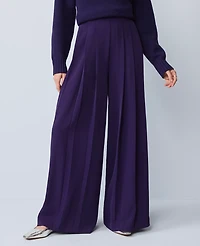 Ann Taylor The Triple Pleat Palazzo Pant Women's