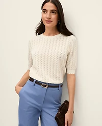Ann Taylor Petite Pointelle Sweater T-Shirt Women's