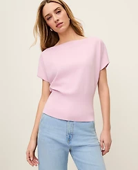 Ann Taylor Petite Dolman Boatneck Sweater Top Women's