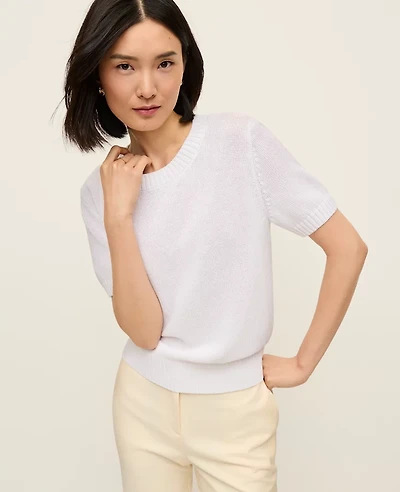 Ann Taylor Petite Modern Sweater T-Shirt Women's