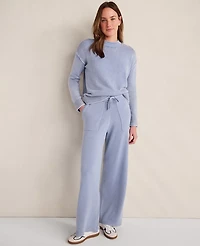 Ann Taylor Haven Well Within Garment-Dyed Organic Cotton Roll Neck Sweater Indigo Wave Wash Women's