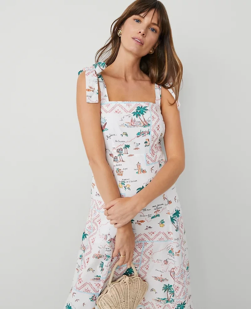 Ann Taylor Map Print Flare Dress Burnt Mauve Women's
