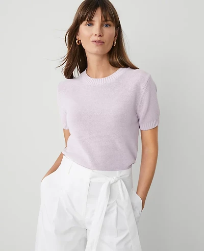 Ann Taylor Petite Modern Sweater T-Shirt Women's