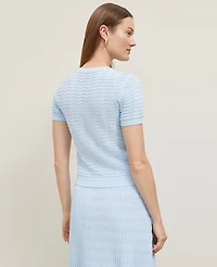 Ann Taylor Petite Wavy Stitch Scalloped Sweater T-Shirt Zephyr Blue Women's