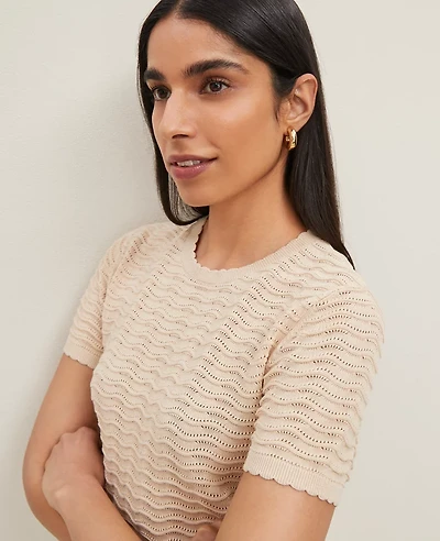 Ann Taylor Petite Wavy Stitch Scalloped Sweater T-Shirt Women's