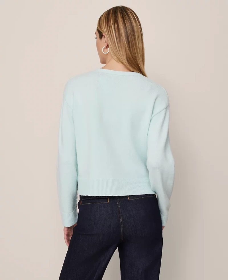 Ann Taylor V-Neck Cardigan Women's