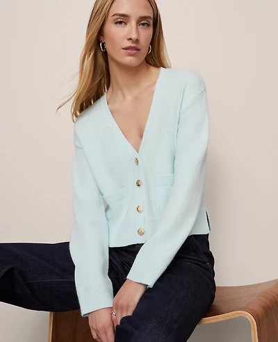 Ann Taylor V-Neck Cardigan Women's