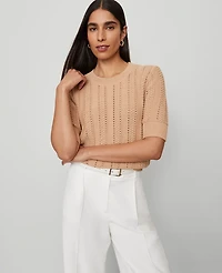Ann Taylor Cable Wedge Sweater T-Shirt Women's