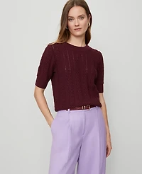 Ann Taylor Cable Wedge Sweater T-Shirt Size Medium Windsor Wine Women's
