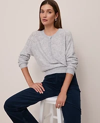 Ann Taylor Weekend Collection Pointelle Henley Sweater Women's