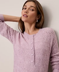 Ann Taylor Weekend Collection Pointelle Henley Sweater Women's