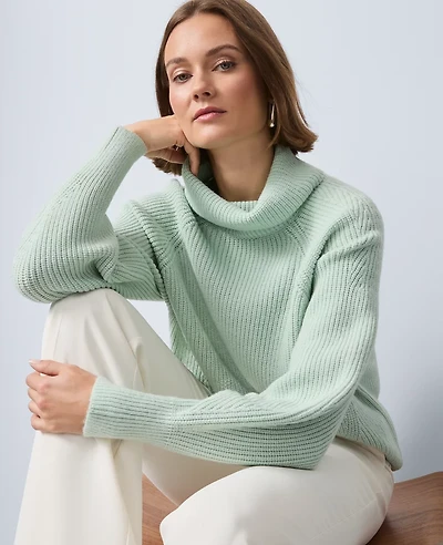 Ann Taylor Ribbed Turtleneck Sweater Women's