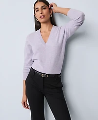Ann Taylor Cashmere V-Neck Sweater Women's