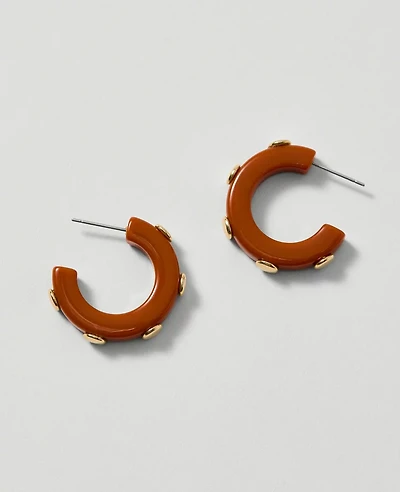 Ann Taylor Studded Mini Hoop Earrings Spiced Cider Women's