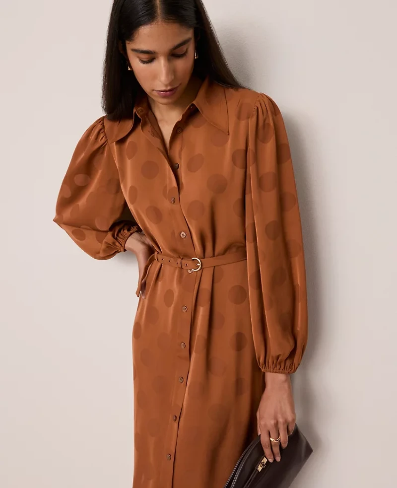 Ann Taylor Belted Midi Shirtdress Spiced Cider Women's