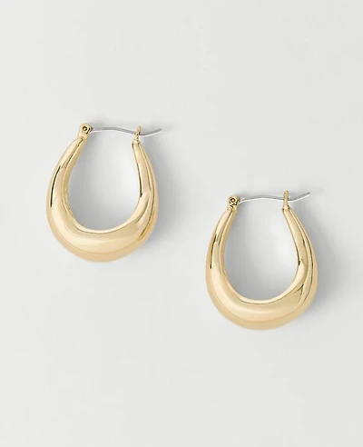 Ann Taylor Metal Hoop Earrings Women's