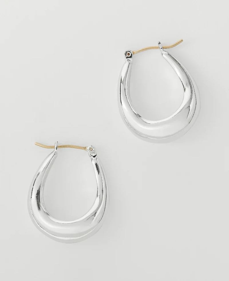 Ann Taylor Metal Hoop Earrings Women's