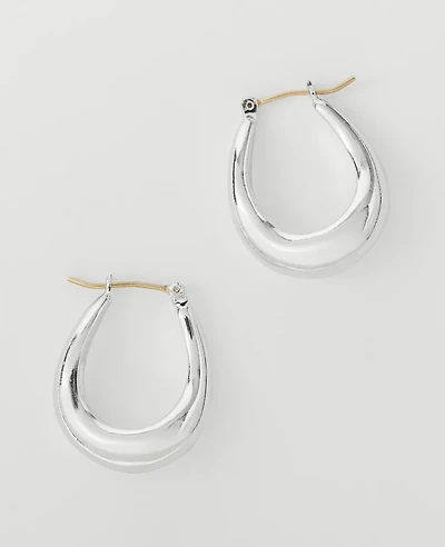 Ann Taylor Metal Hoop Earrings Women's